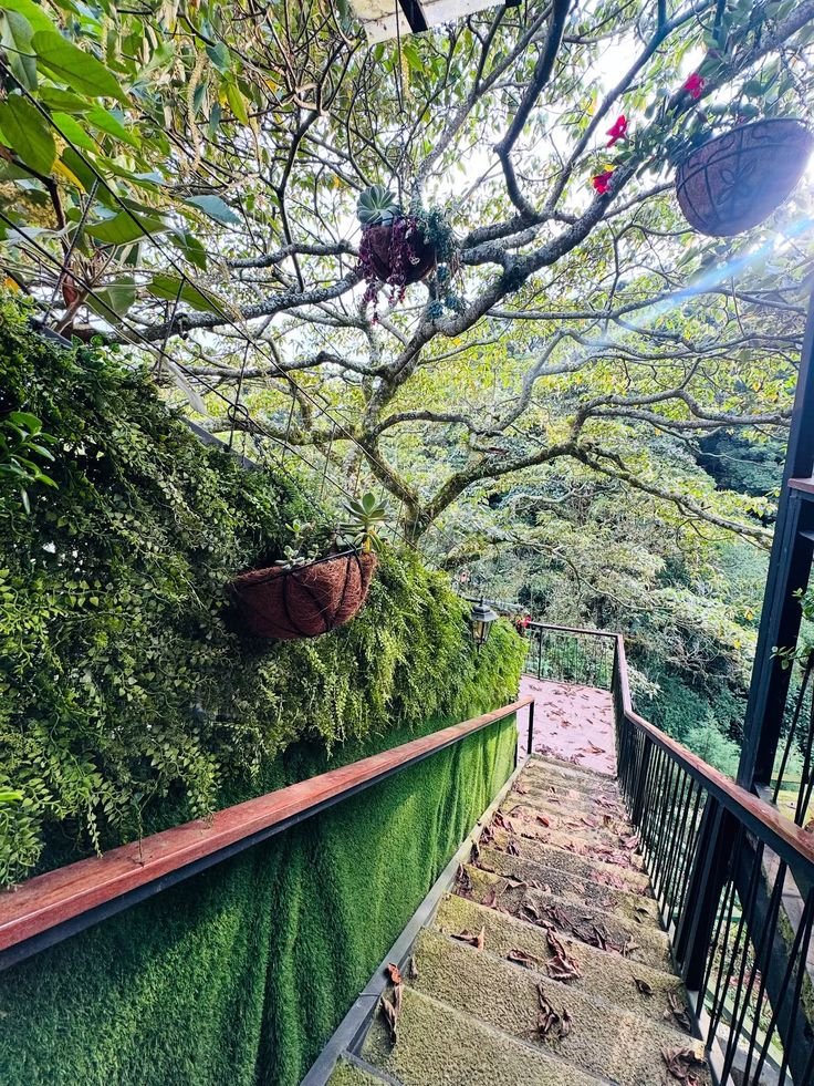 This may contain: the stairs are covered with moss and plants
