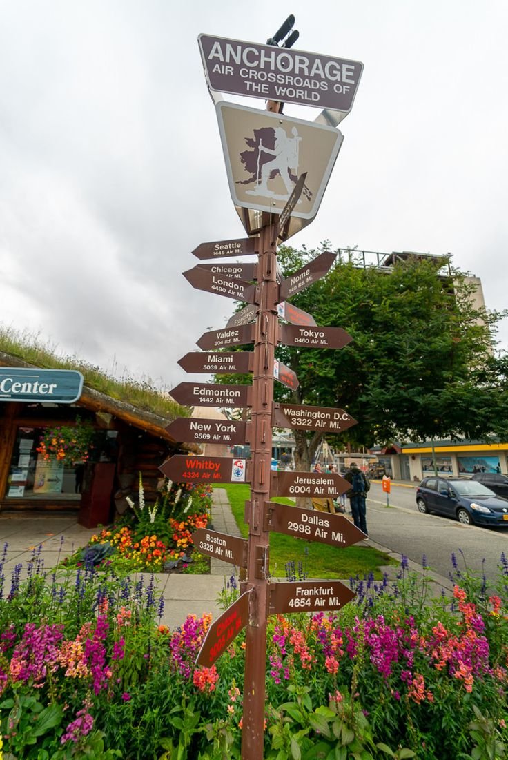 This may contain: a wooden pole with many signs on it in front of flowers and trees near a building