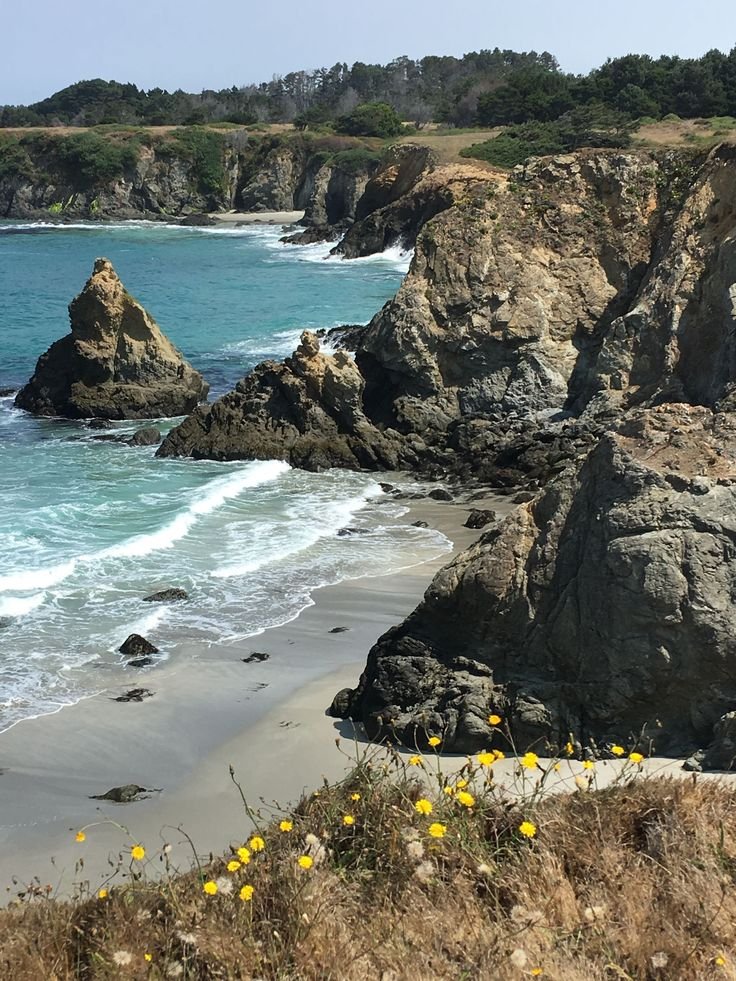 This may contain: the beach has yellow flowers growing out of it's rocky shore and blue water