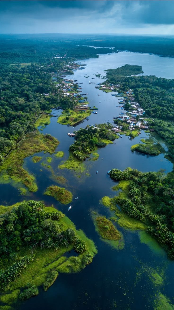 This may contain: an aerial view of a river surrounded by lush green trees