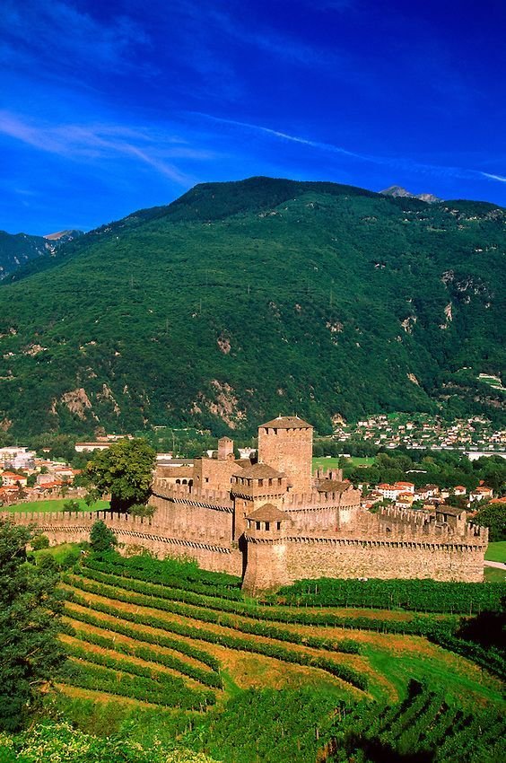 This may contain: an old castle sits in the middle of a green valley surrounded by trees and mountains