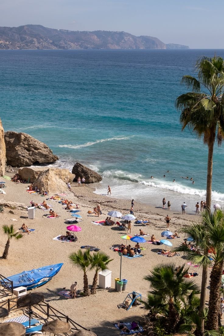 This may contain: the beach is crowded with people and umbrellas near the water's edge, while palm trees stand in the foreground