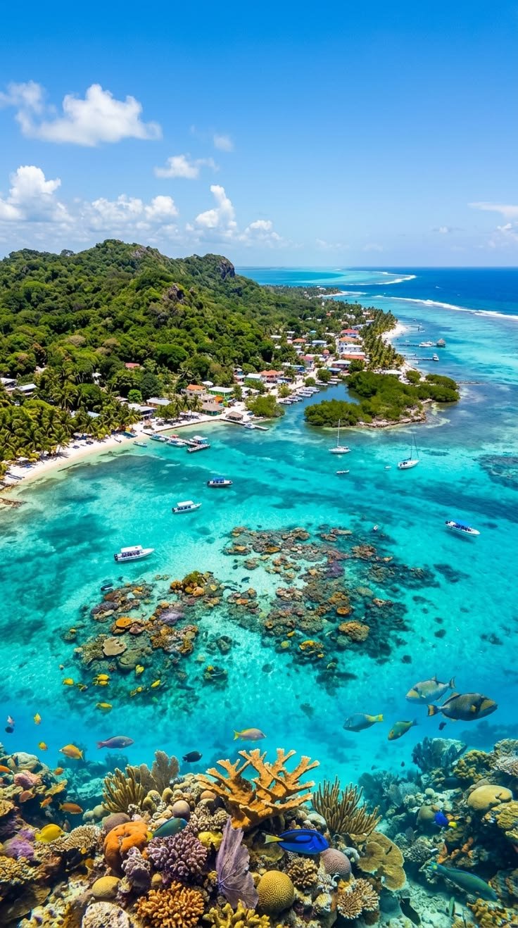 This may contain: an aerial view of the coral reef and tropical island in the ocean, with boats on it