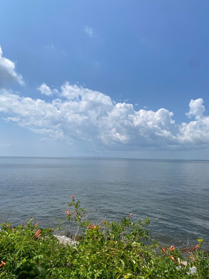 This may contain: the water is very calm and blue with clouds in the sky over it's head