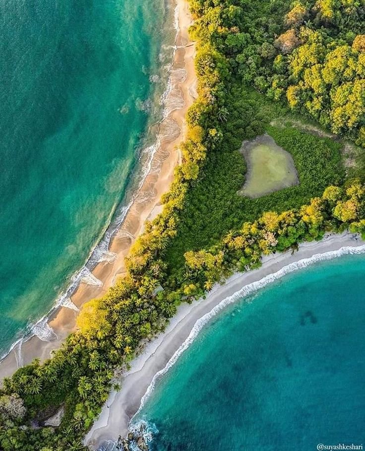 This may contain: an aerial view of the beach and trees