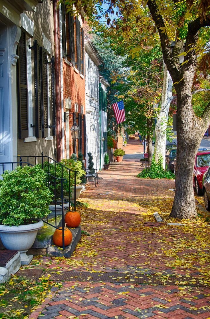 This may contain: a cobblestone street with pumpkins and potted plants on the side walk