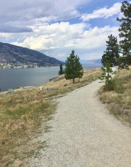 This may contain: there is a dirt road that leads to the water