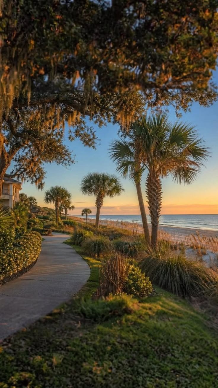 This may contain: palm trees line the beach as the sun sets over the ocean in charleston, sc