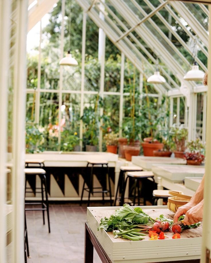This may contain: a person cutting vegetables on a table in a greenhouse with lots of tables and chairs