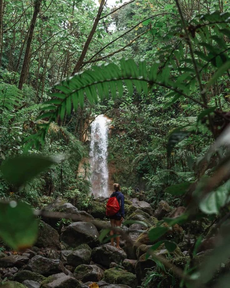 This may contain: a man standing in front of a waterfall surrounded by lush green trees and rocks with a red backpack on his back