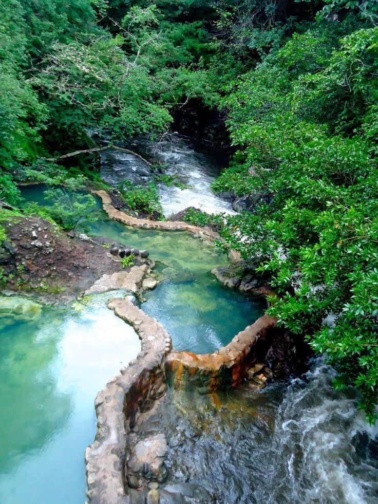 This may contain: a river running through a lush green forest