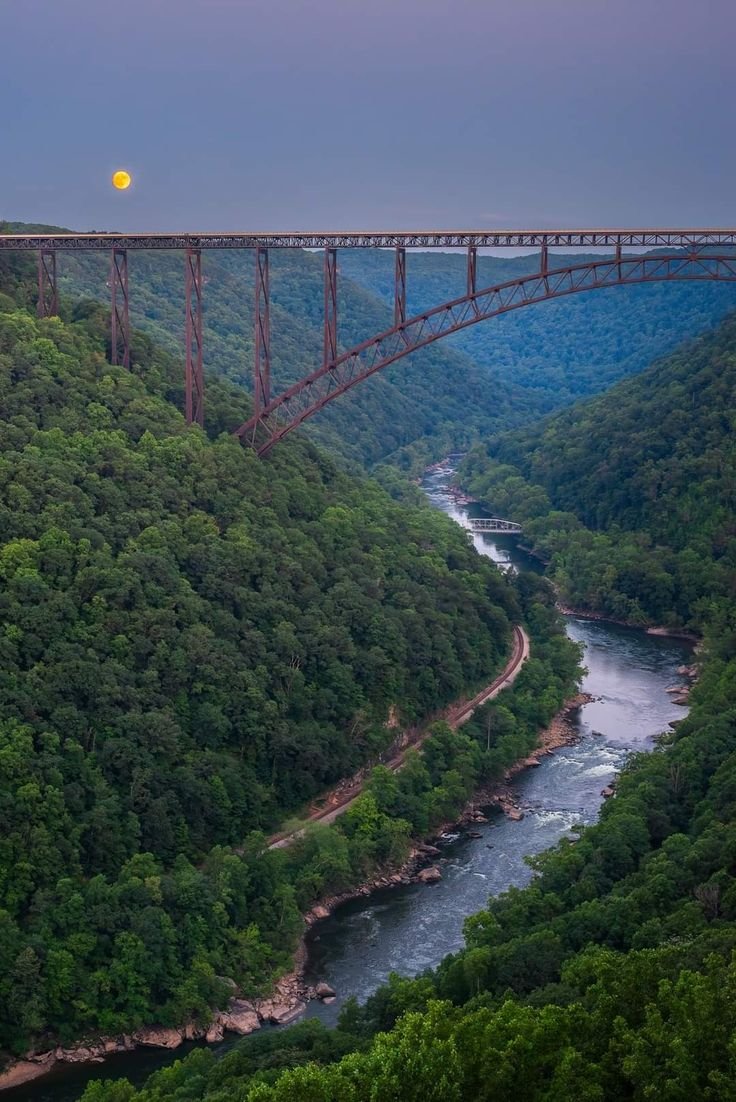 This may contain: a bridge over a river in the middle of a lush green forest under a full moon