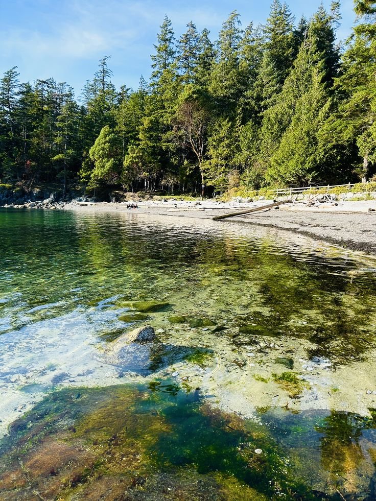 This may contain: the water is crystal green and clear with some trees in the backgroung