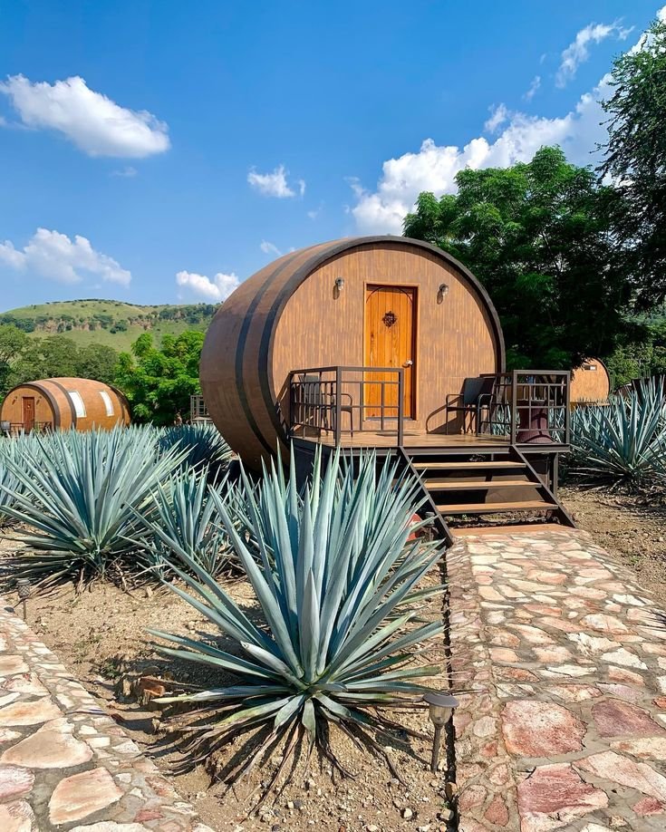 This may contain: an outdoor area with several barrels and plants