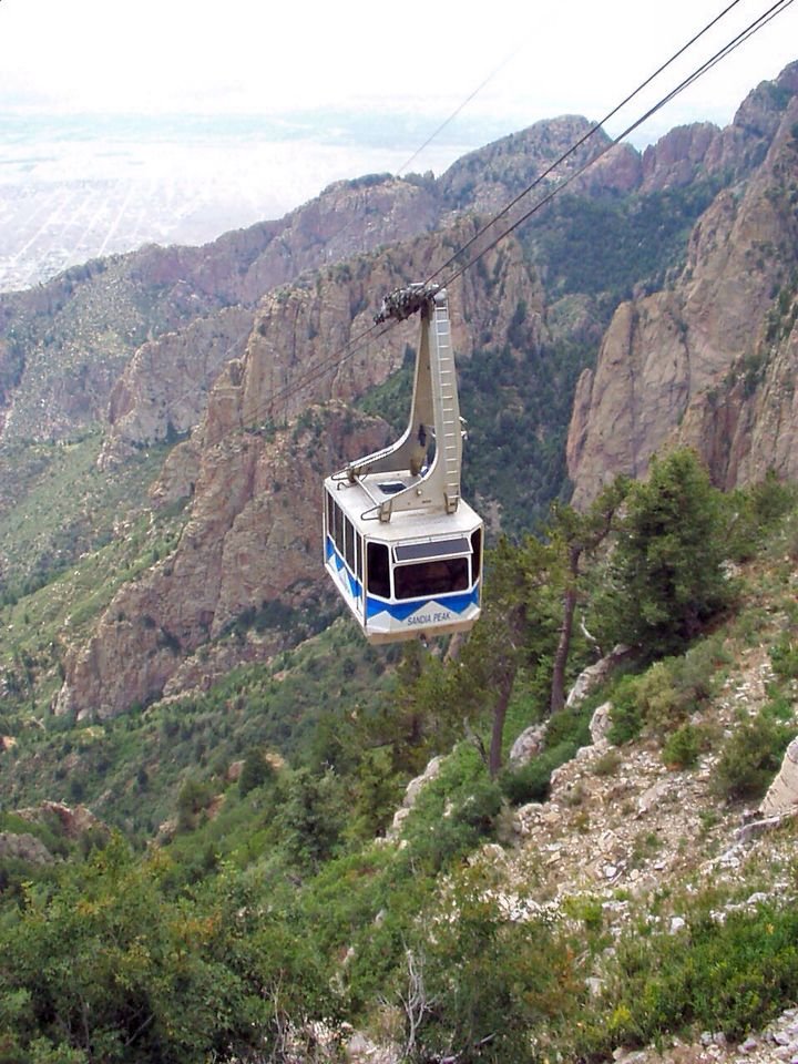 This may contain: a cable car going up the side of a mountain with trees on both sides and mountains in the background
