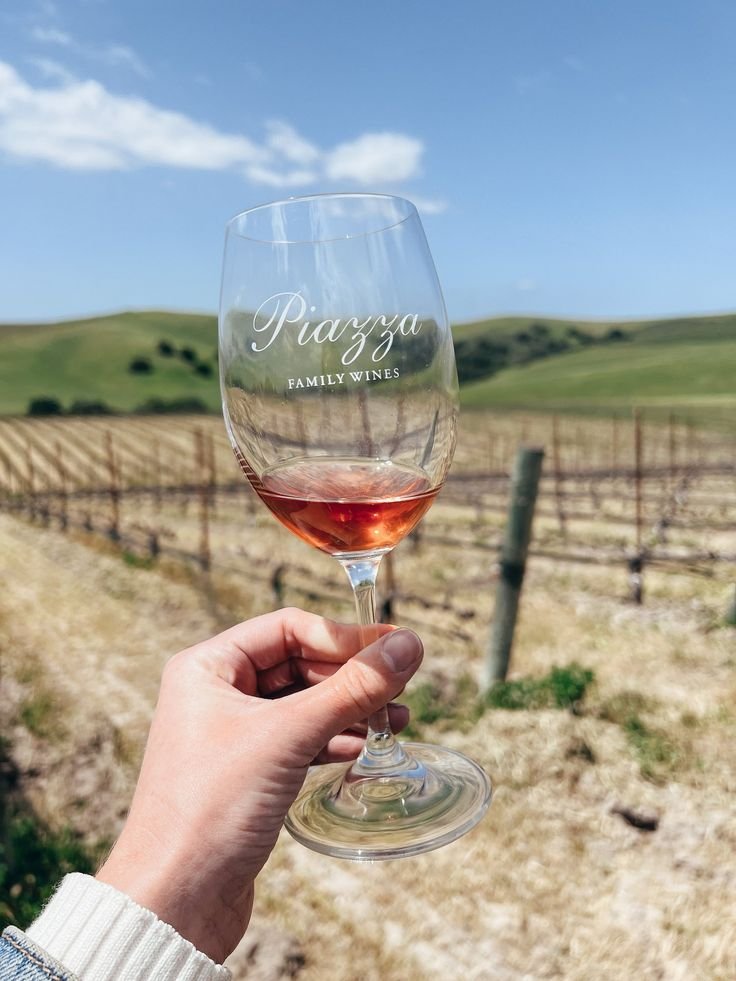 This may contain: a person holding up a wine glass in front of a vineyard field with vines and grass