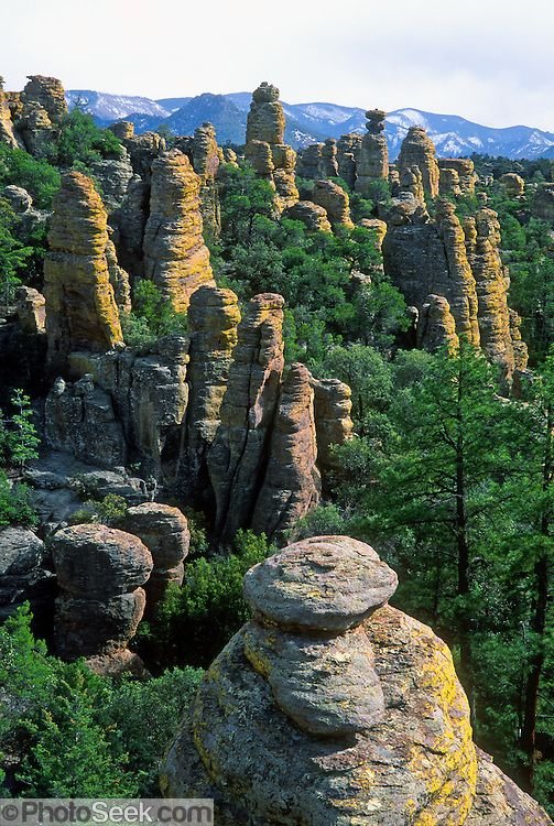 This may contain: many rocks and trees are in the foreground