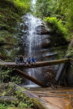 This may contain: four people are sitting on a fallen tree in front of a waterfall with water cascading over it