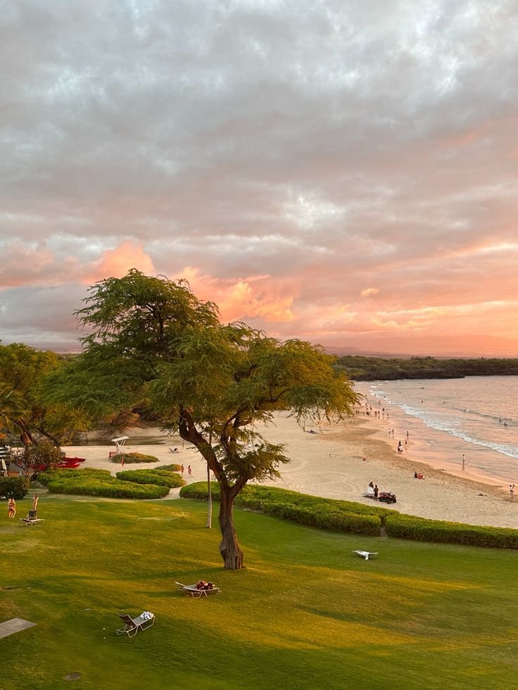 This may contain: the sun is setting at the beach with people in the water and on the grass