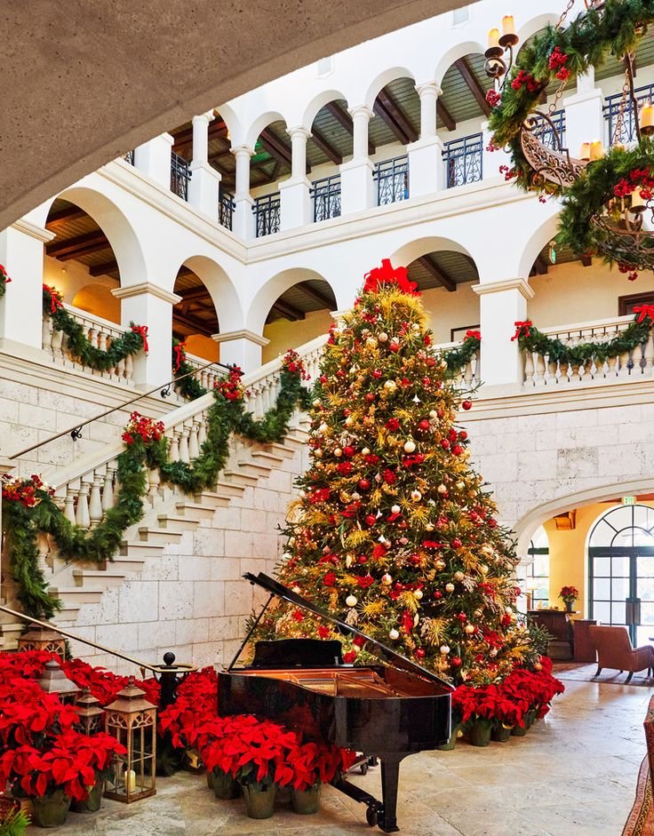This may contain: a large christmas tree is in the middle of a room with red poinsettias