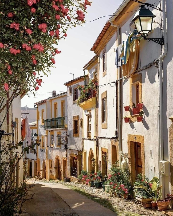 This may contain: an alley way with flowers and potted plants on the windows, in front of buildings