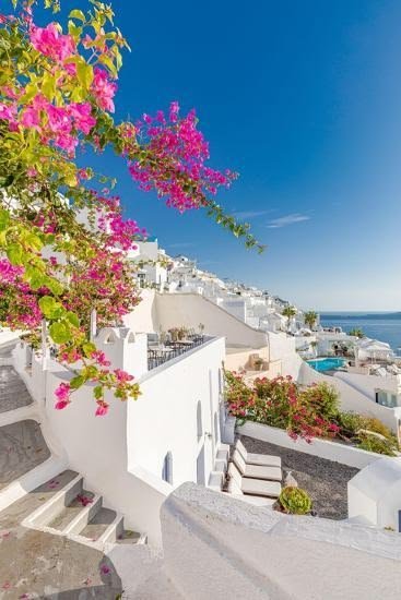 This may contain: white buildings with pink flowers and blue water in the background, on a sunny day