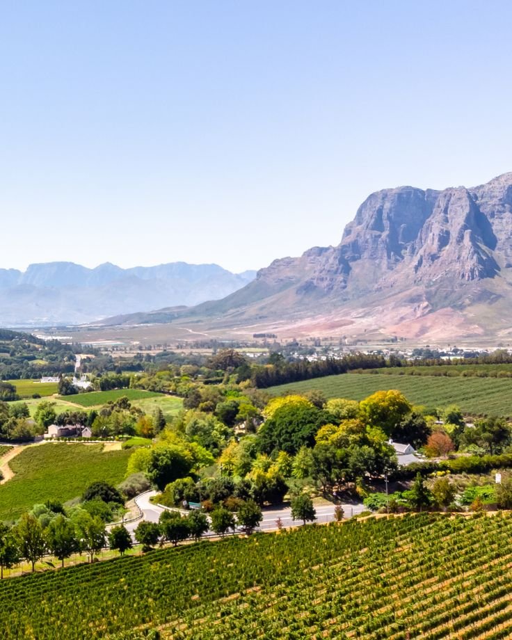 This may contain: an aerial view of the wine country with mountains in the background and trees on either side