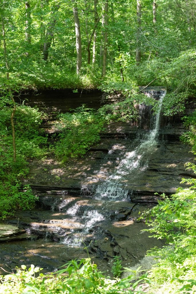 This may contain: a small waterfall in the middle of a forest