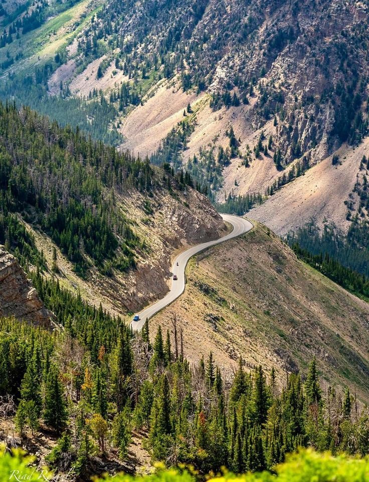 This may contain: a car driving down a winding road in the middle of some trees and mountain range