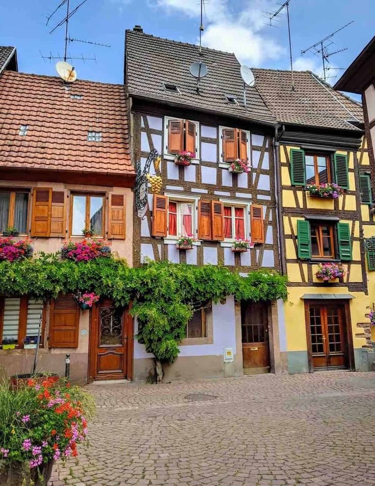 This may contain: an old building with flowers growing on it's windows and shutters in germany
