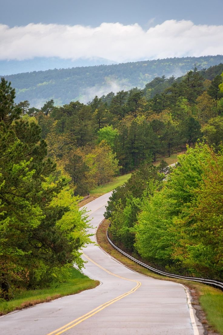 This may contain: an empty road surrounded by trees and mountains
