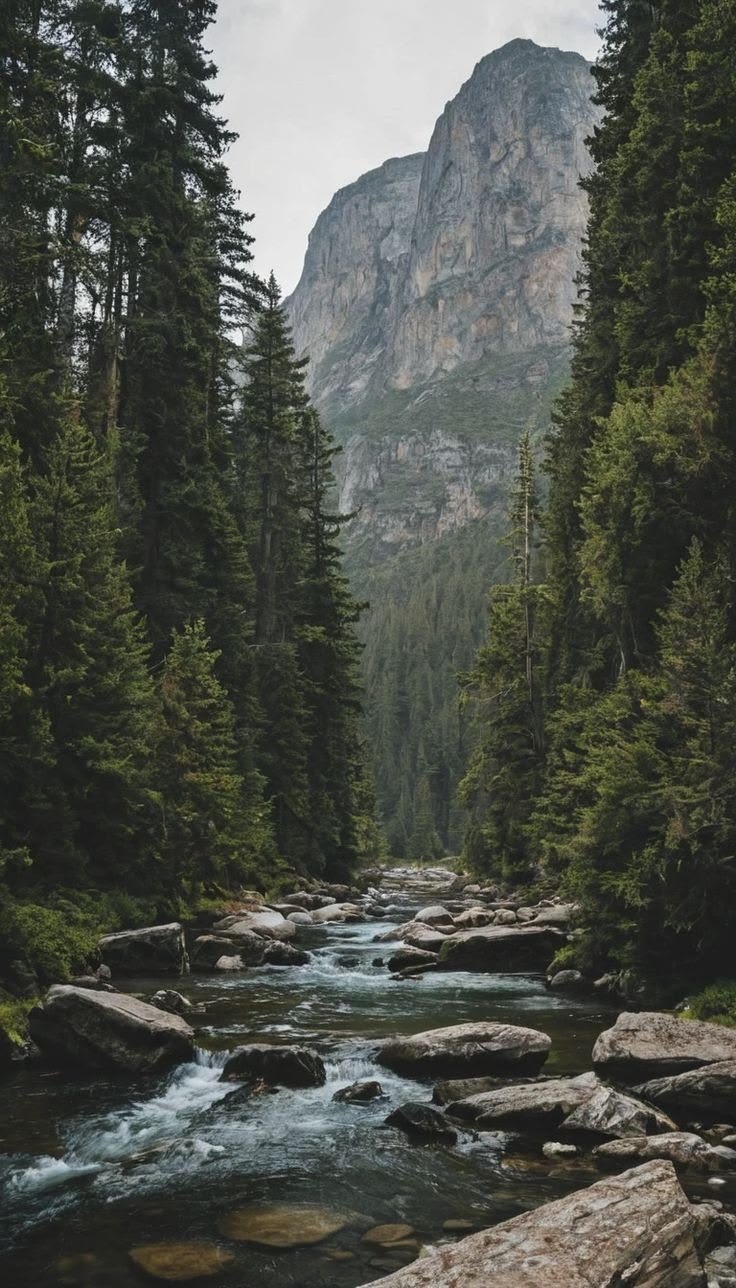 This may contain: a river running through a forest filled with rocks and trees next to a tall mountain