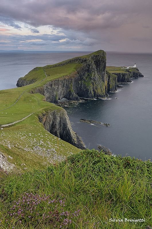 This may contain: an island in the middle of water surrounded by grass