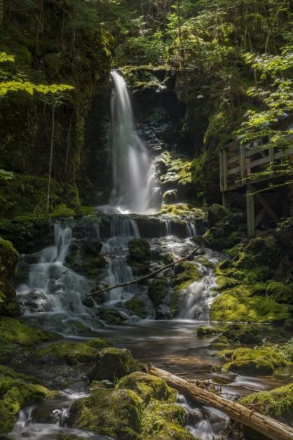 This may contain: a waterfall in the middle of a forest with moss growing on it's sides
