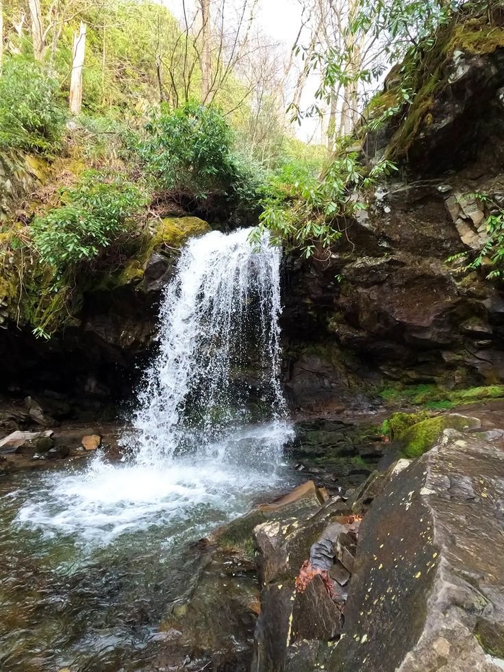 This may contain: a small waterfall in the middle of a forest