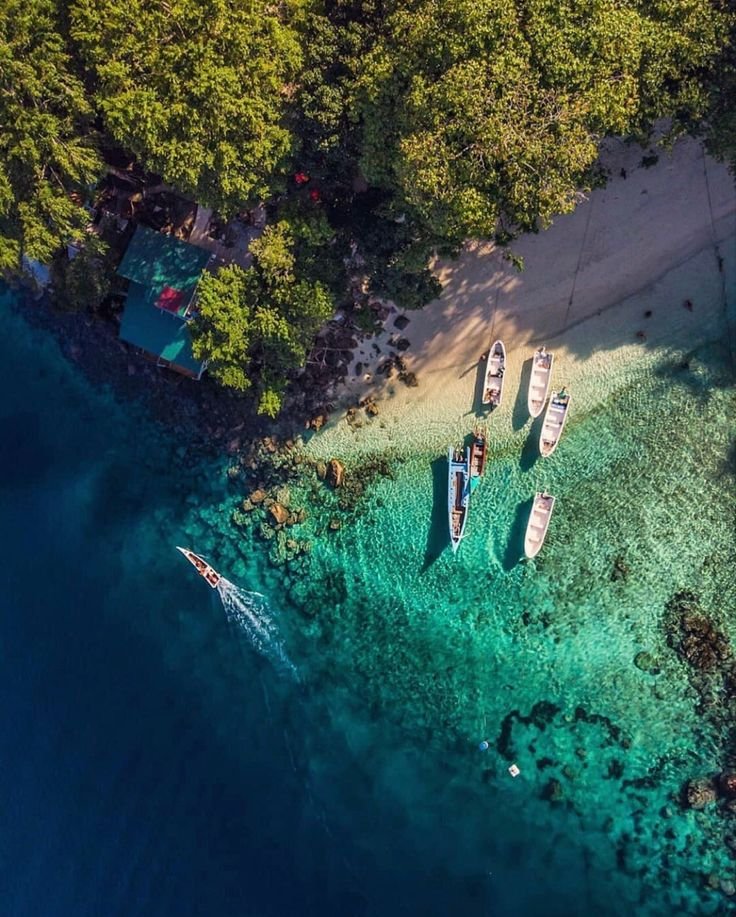 This may contain: several boats are docked in the clear blue water next to some green trees and sand