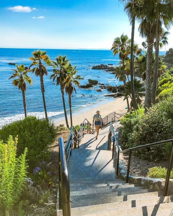 This may contain: a man walking down stairs to the beach with palm trees on either side and blue water in the background