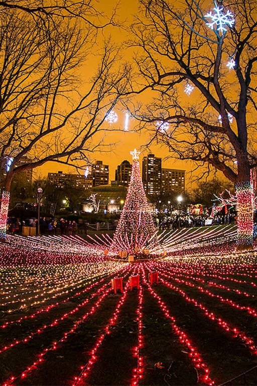 This may contain: christmas lights decorate the trees and lawns in this city's park at night