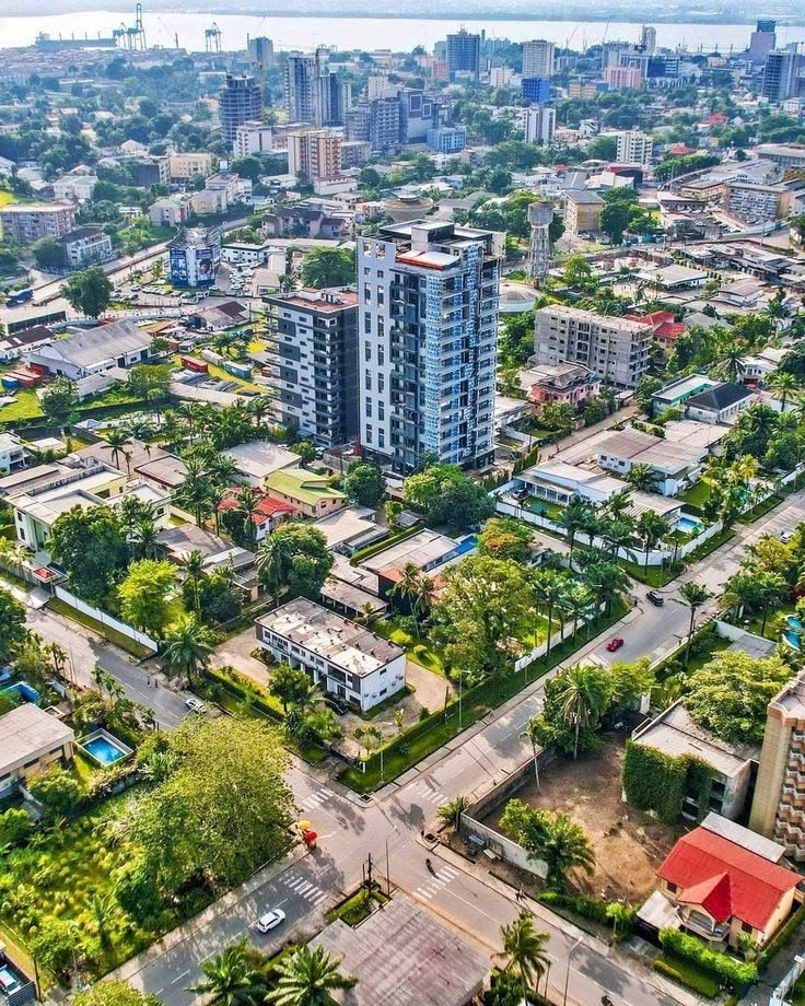 This may contain: an aerial view of a city with tall buildings and lots of trees in the foreground