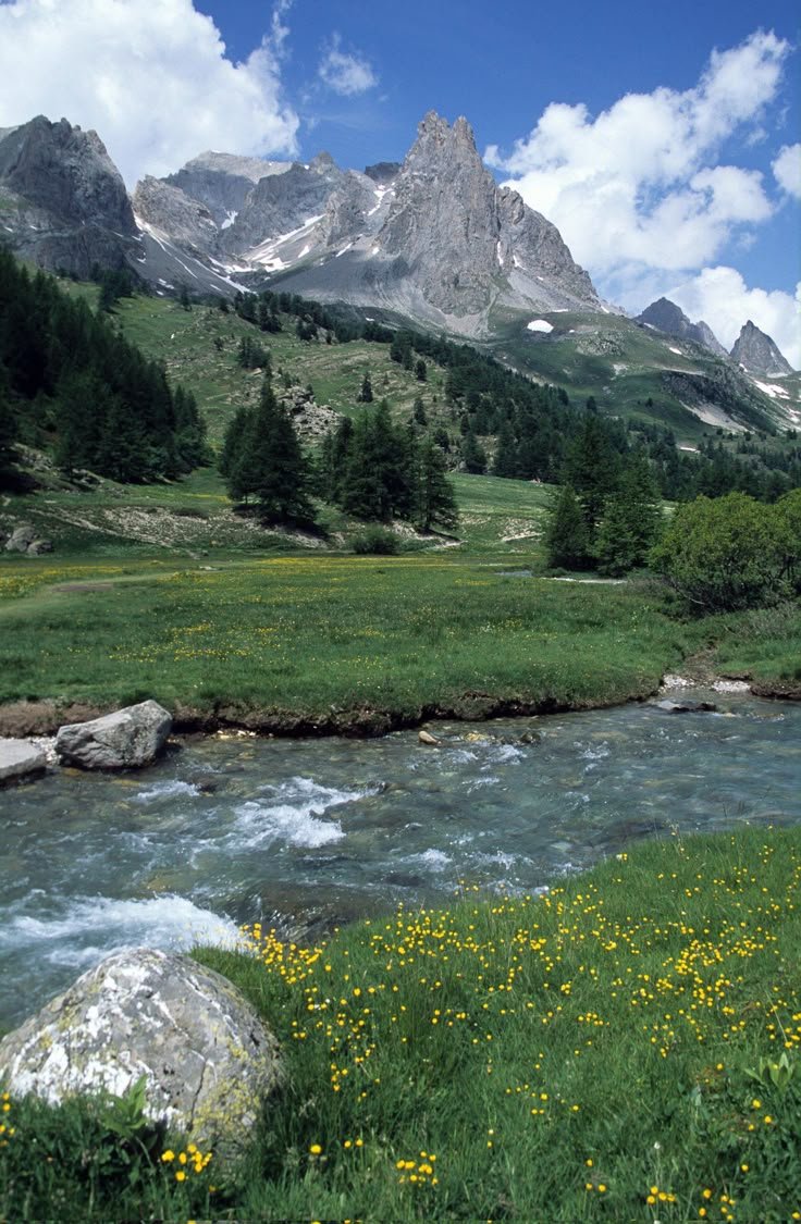 This may contain: a river running through a lush green valley filled with flowers and mountains in the background
