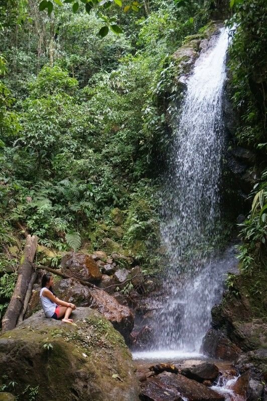 This may contain: a person laying on top of a rock next to a waterfall in the forest with trees and rocks