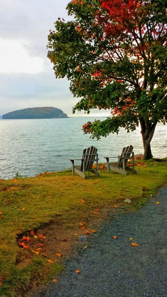 This may contain: two wooden benches sitting on the side of a road next to a body of water