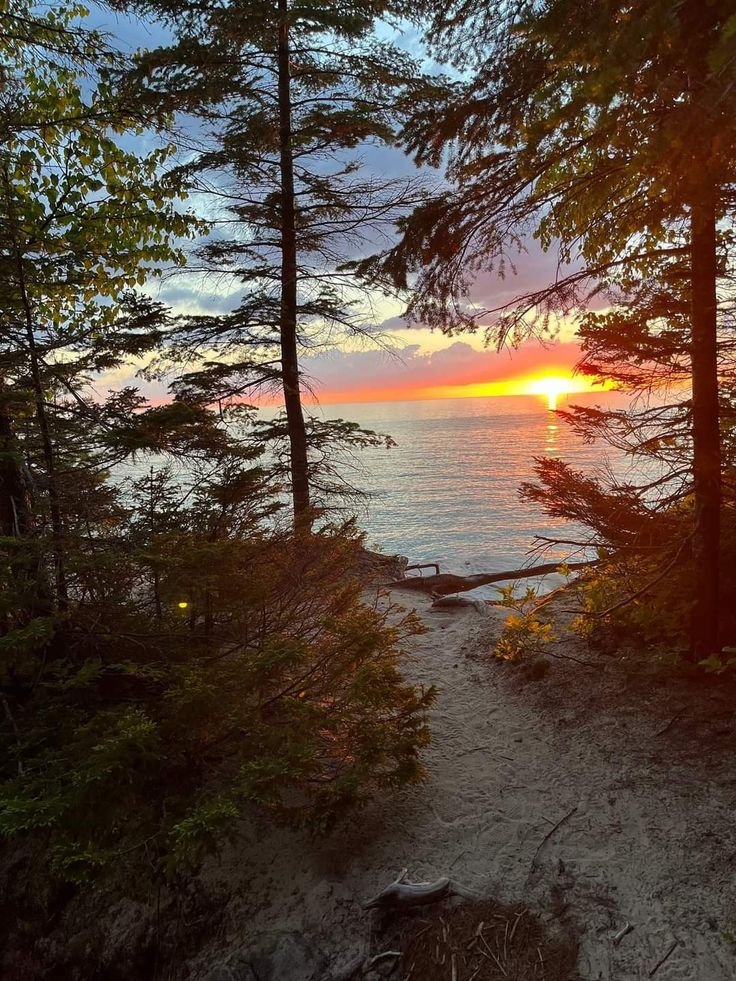 This may contain: the sun is setting over the water in the woods near some trees and sand dunes