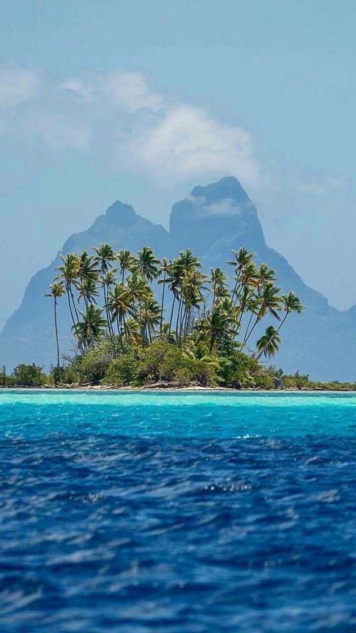 This may contain: an island with palm trees in the ocean