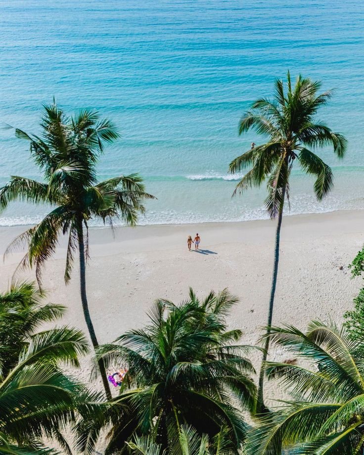 This may contain: two people are walking on the beach between palm trees