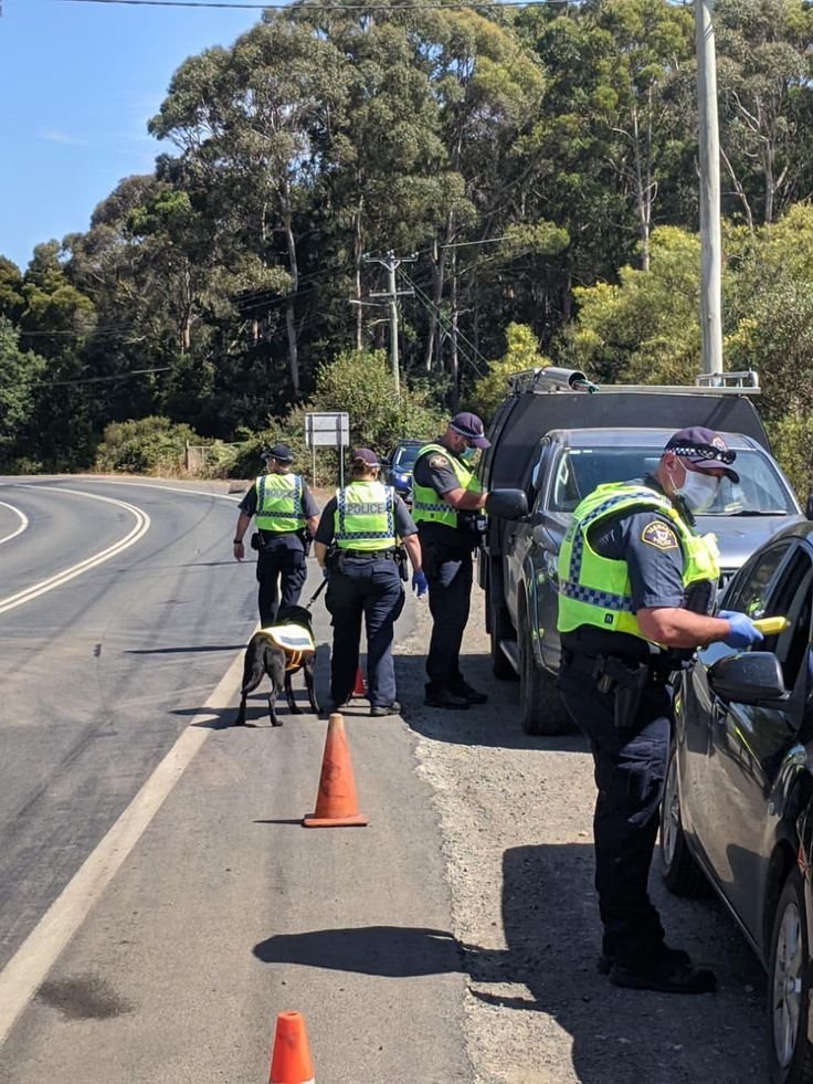 This may contain: two police officers standing next to a car and orange cones on the side of the road