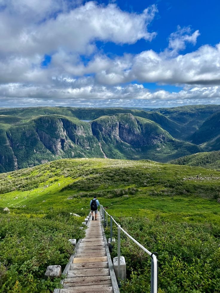 This may contain: two people are walking up a wooden walkway in the middle of green hills and mountains