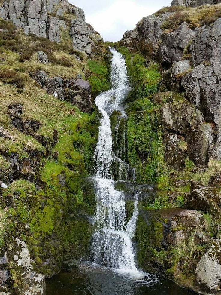 This may contain: there is a waterfall in the middle of some rocks and green mossy grass on the ground
