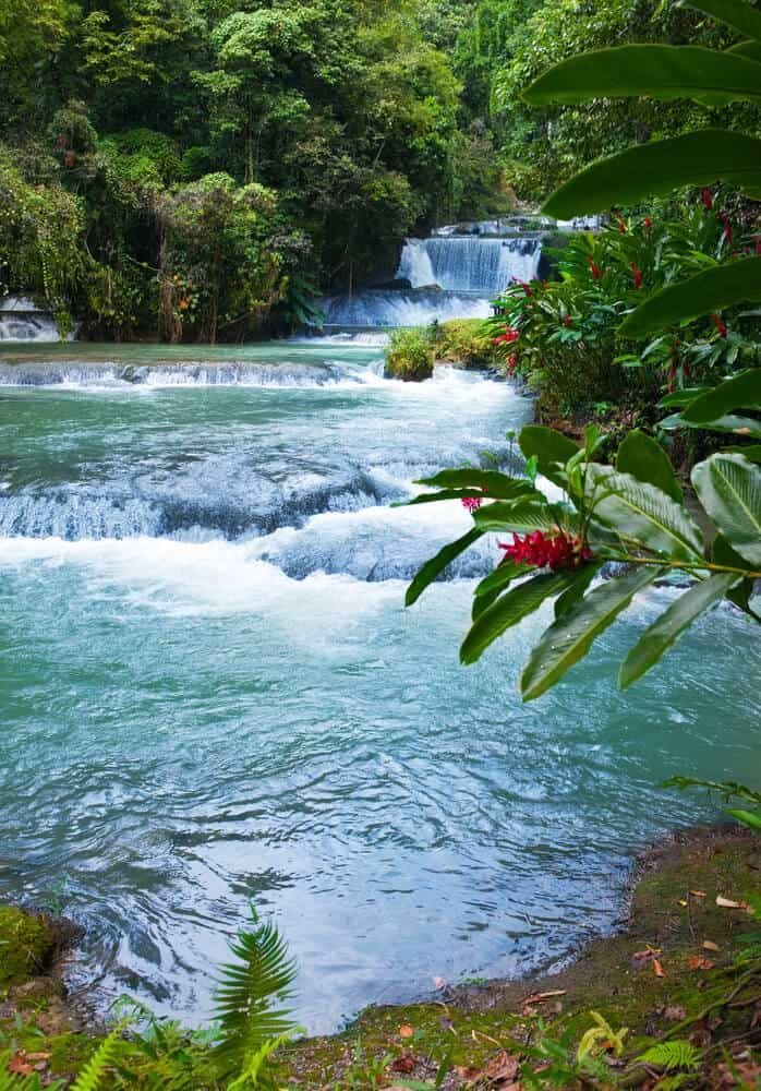 This may contain: the water is blue and green as it flows through some trees in the jungles