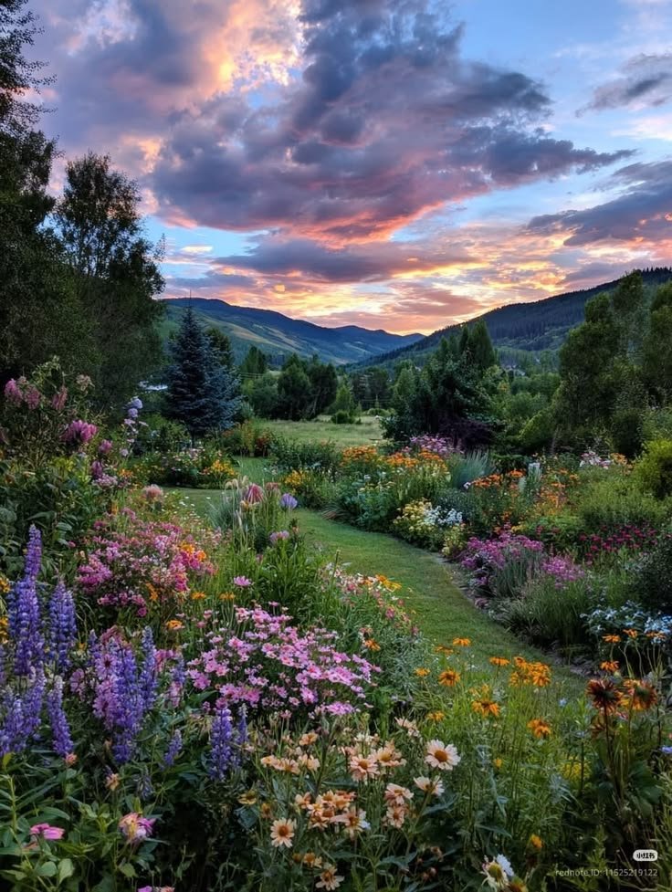 This may contain: the sun is setting over a field full of wildflowers and other colorful flowers